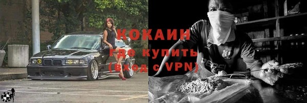прущие грибы Белокуриха