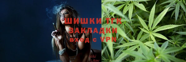 прущие грибы Белокуриха