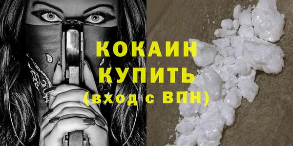 прущие грибы Белокуриха