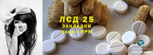 прущие грибы Белокуриха