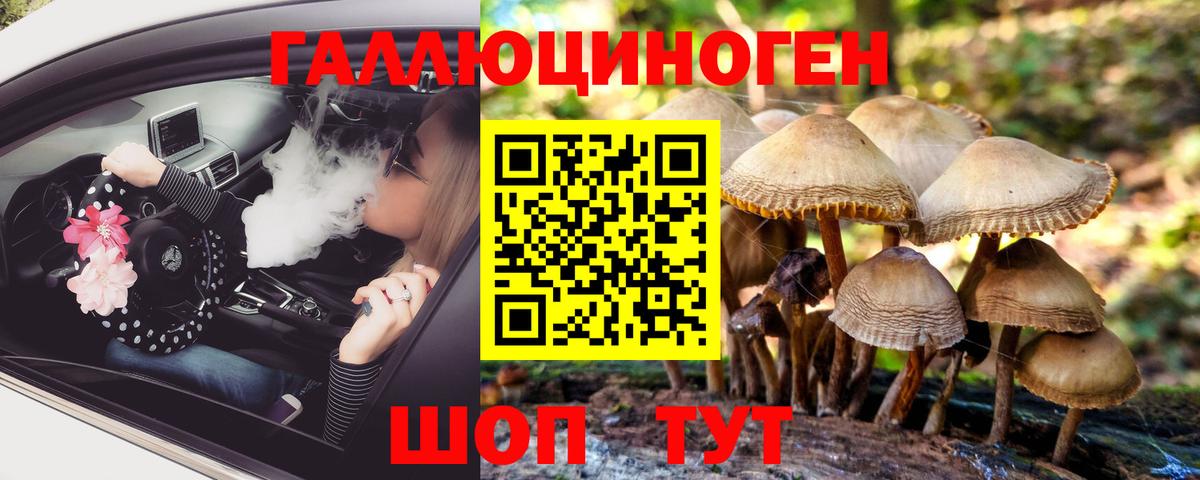 Галлюциногенные грибы Cubensis  Вход с VPN  Краснокаменск 